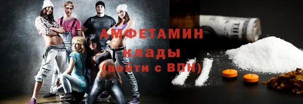 мдпв Дмитриев