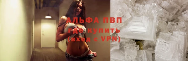 мдпв Дмитриев