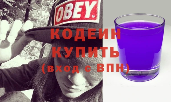 стаф Ельня