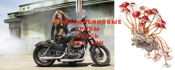 мдпв Дмитриев