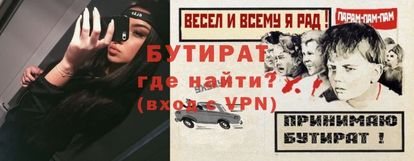 стаф Ельня